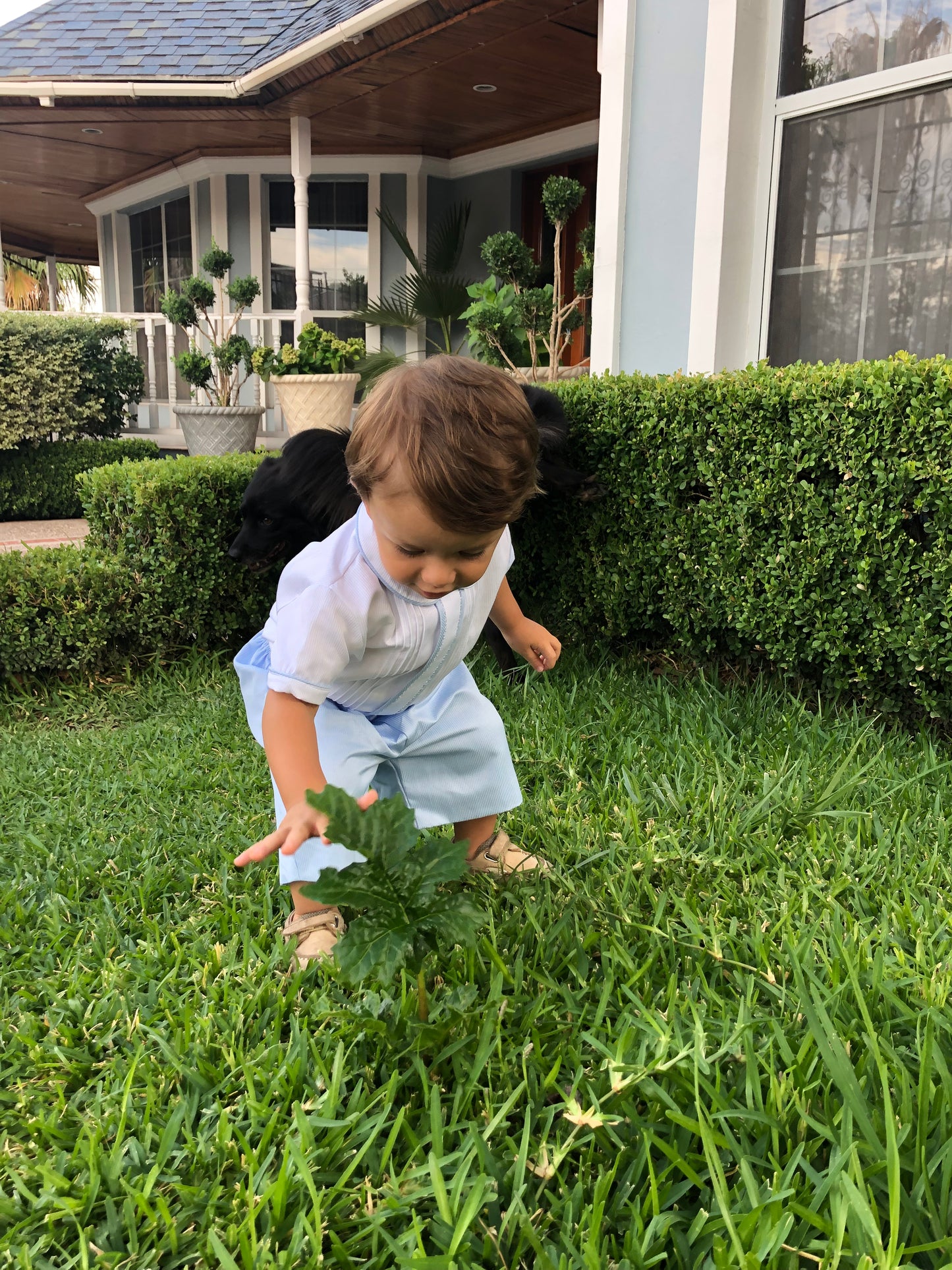 Fernando
